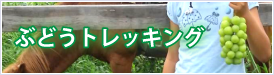 ぶどうトレッキング