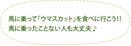 馬に乗って「ウマスカット」を食べに行こう!!馬に乗ったことない人も大丈夫♪