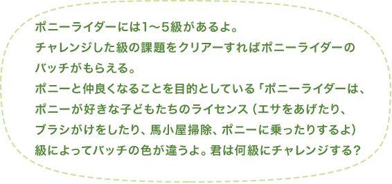 ポニーライダーには1～5級があるよ。チャレンジした級の課題をクリアーすればポニーライダーのバッチがもらえる。ポニーと仲良くなることを目的としている「ポニーライダー」は、ポニーが好きな子どもたちのライセンス（エサをあげたり、ブラシがけをしたり、馬小屋掃除、ポニーに乗ったりするよ）級によってバッチの色が違うよ。君は何級にチャレンジする？