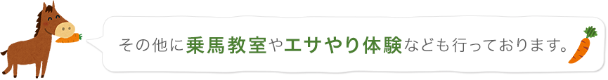 その他に乗馬教室やエサやり体験なども行っております。