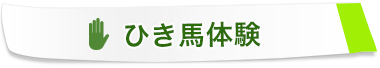 ひき馬体験