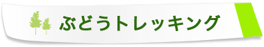 ぶどうトレッキング