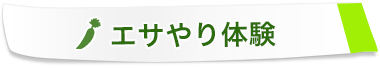 エサやり体験