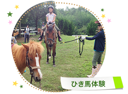 ひき馬体験