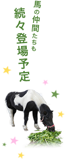 馬の仲間たちも続々登場予定